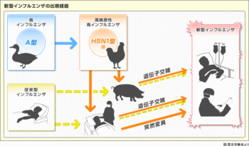 whatsbirdflu_img01.gif